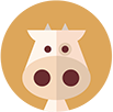 brunokoala30 talkd avatar